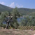 Assa * Pyrgadikia