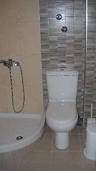 Assa *